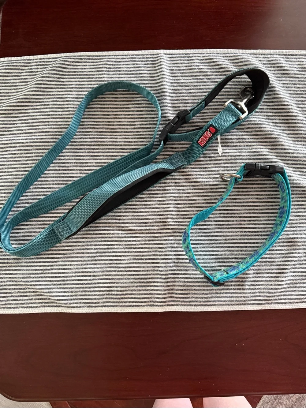 Kong Teal Dog Leash and Lupine Collar